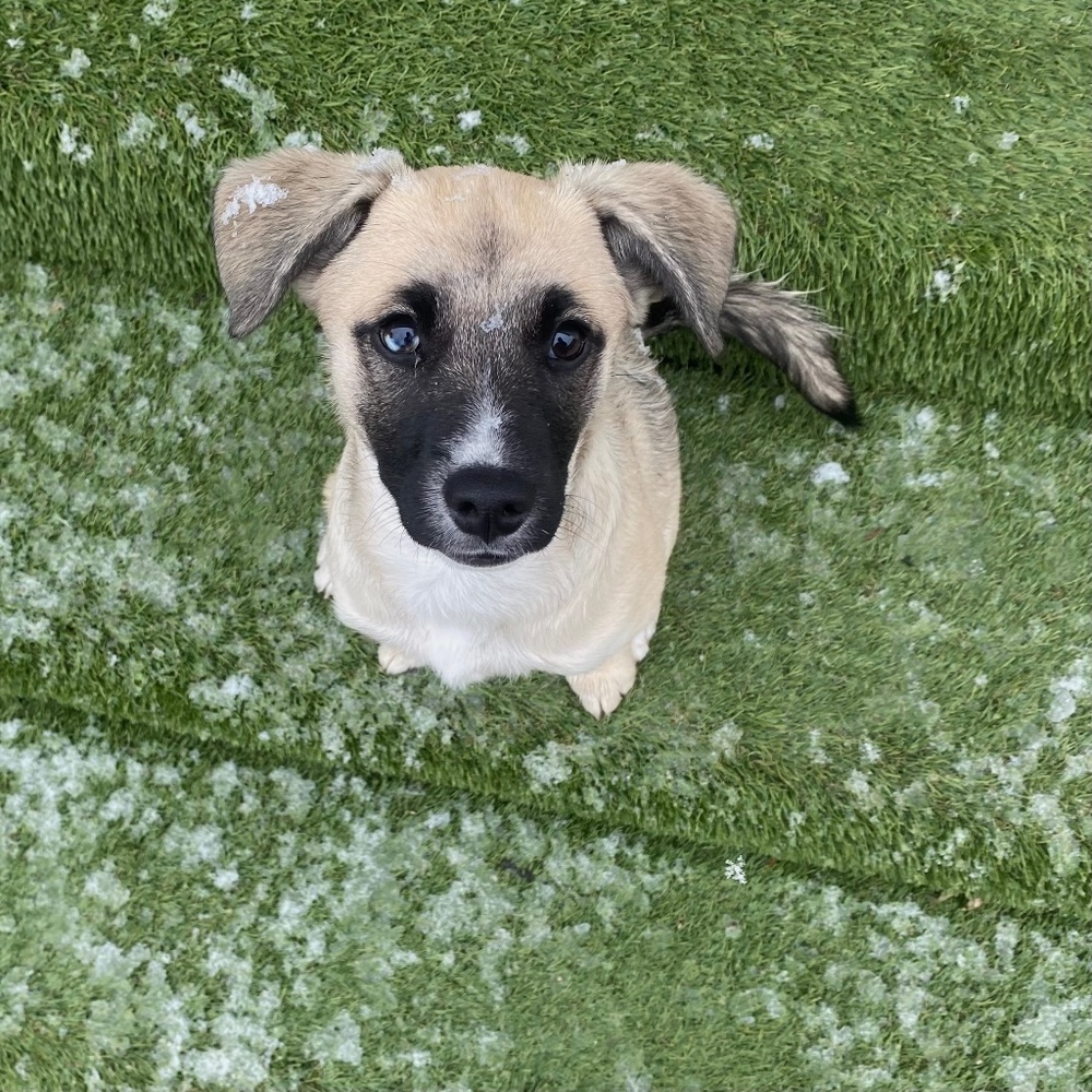 Meet your Posher, Maggy